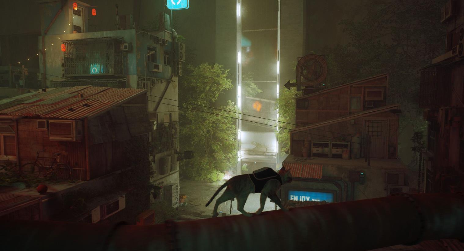 迷失（Stray）_1