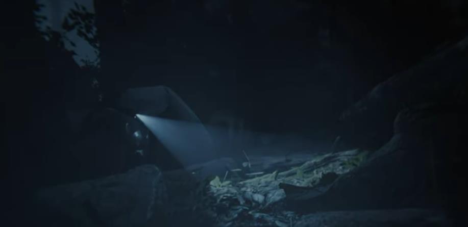 森林之子 Sons Of The Forest_0
