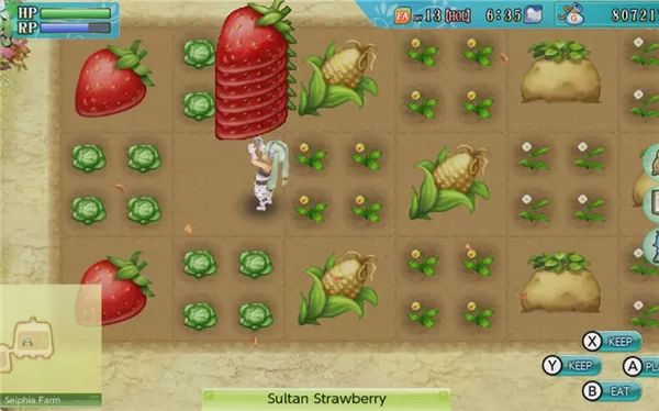 符文工房4 特别版_0