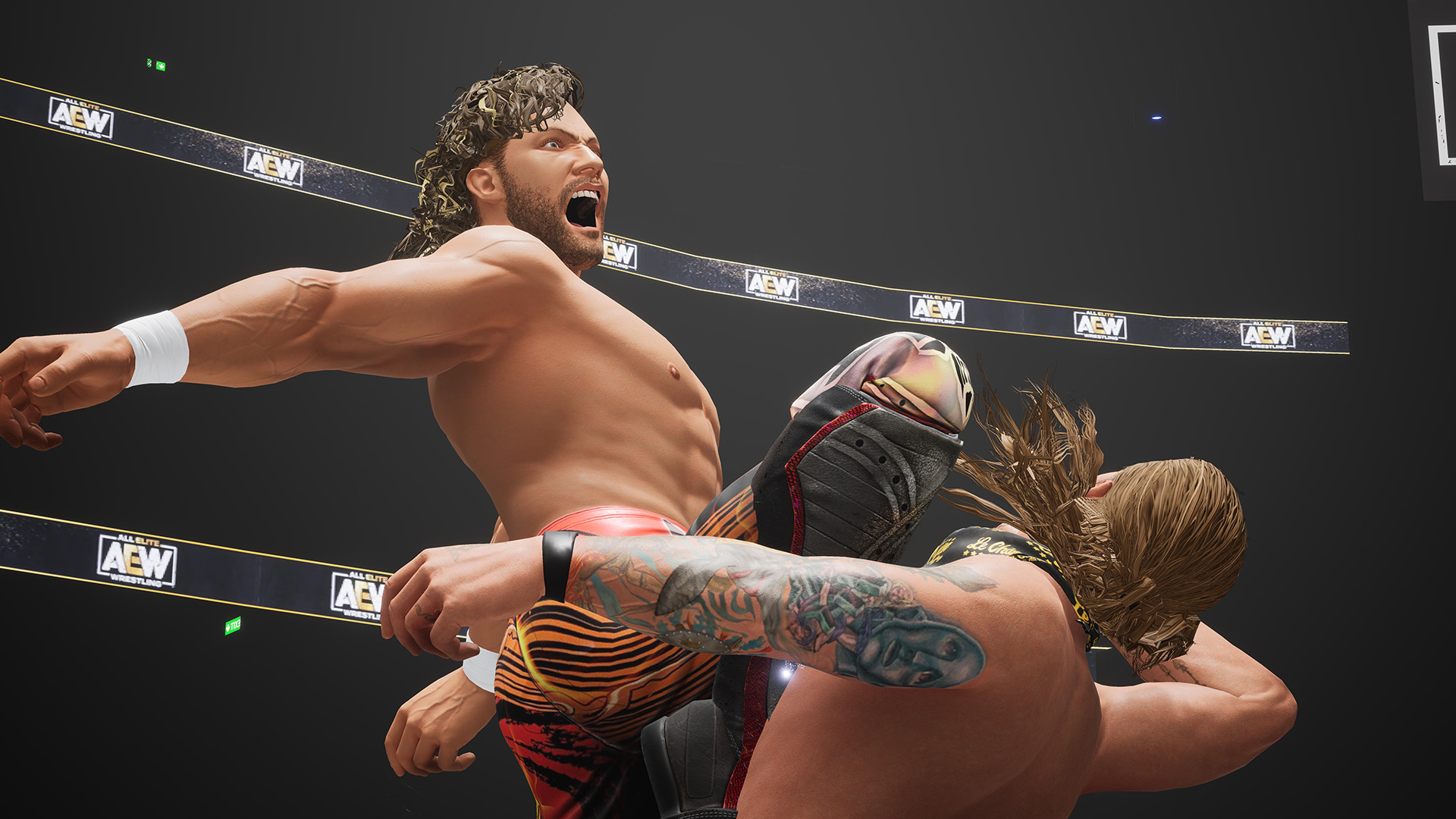 全精英摔角：永远的战斗 AEW: Fight Forever_0