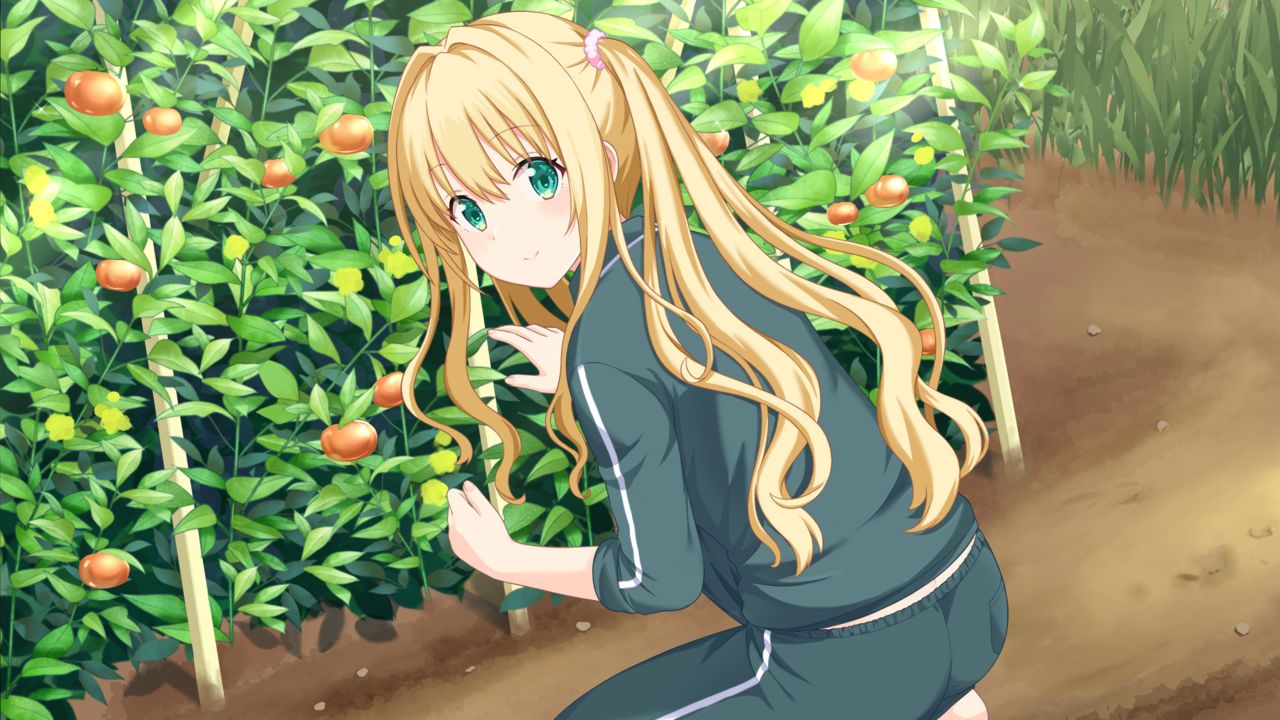 switch《青空下的约定 Refine》日版下载+1.01补丁_2