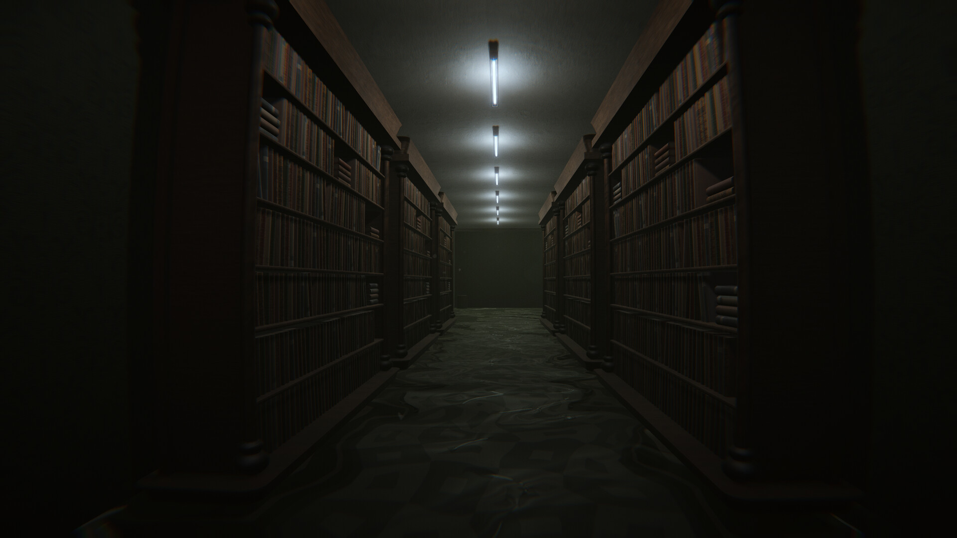 边界维度 The Liminal Dimension_0