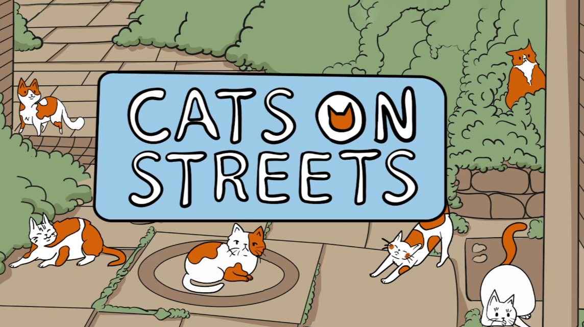 街上的猫 Cats on Streets_0