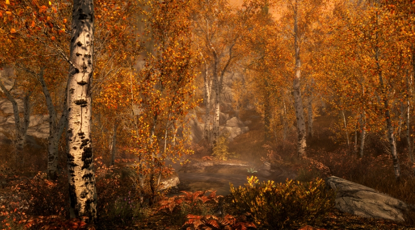 上古卷轴5：周年纪念版 The Elder Scrolls V: Skyrim Special Edition_0