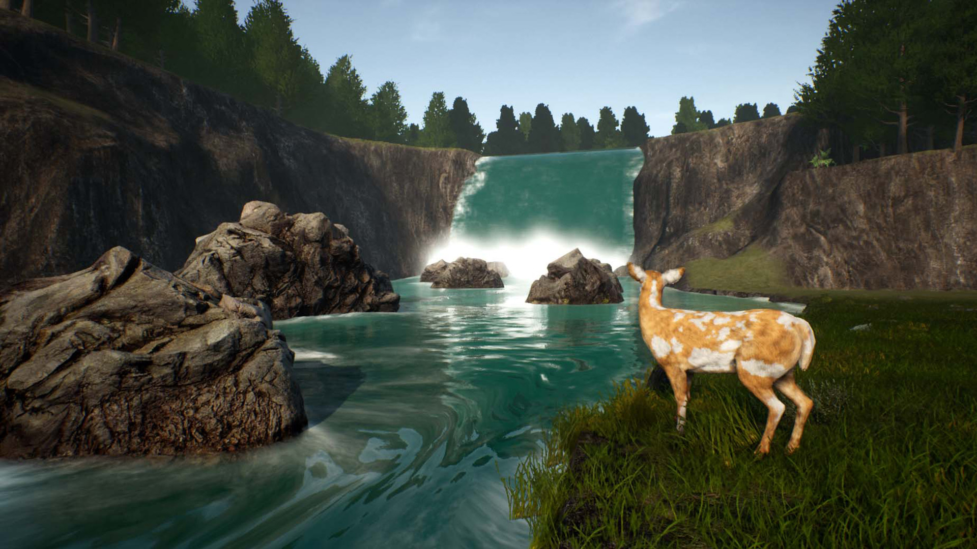 鹿之旅/Deer Journey_0