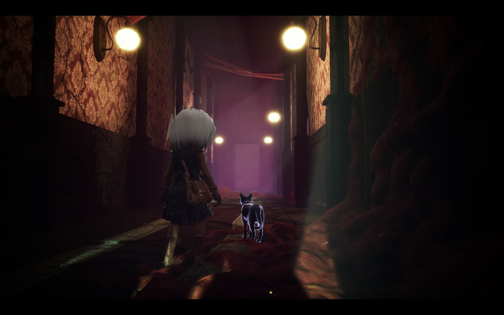 光:黑猫与失忆症女孩/LIGHT:Black Cat & Amnesia Girl_0