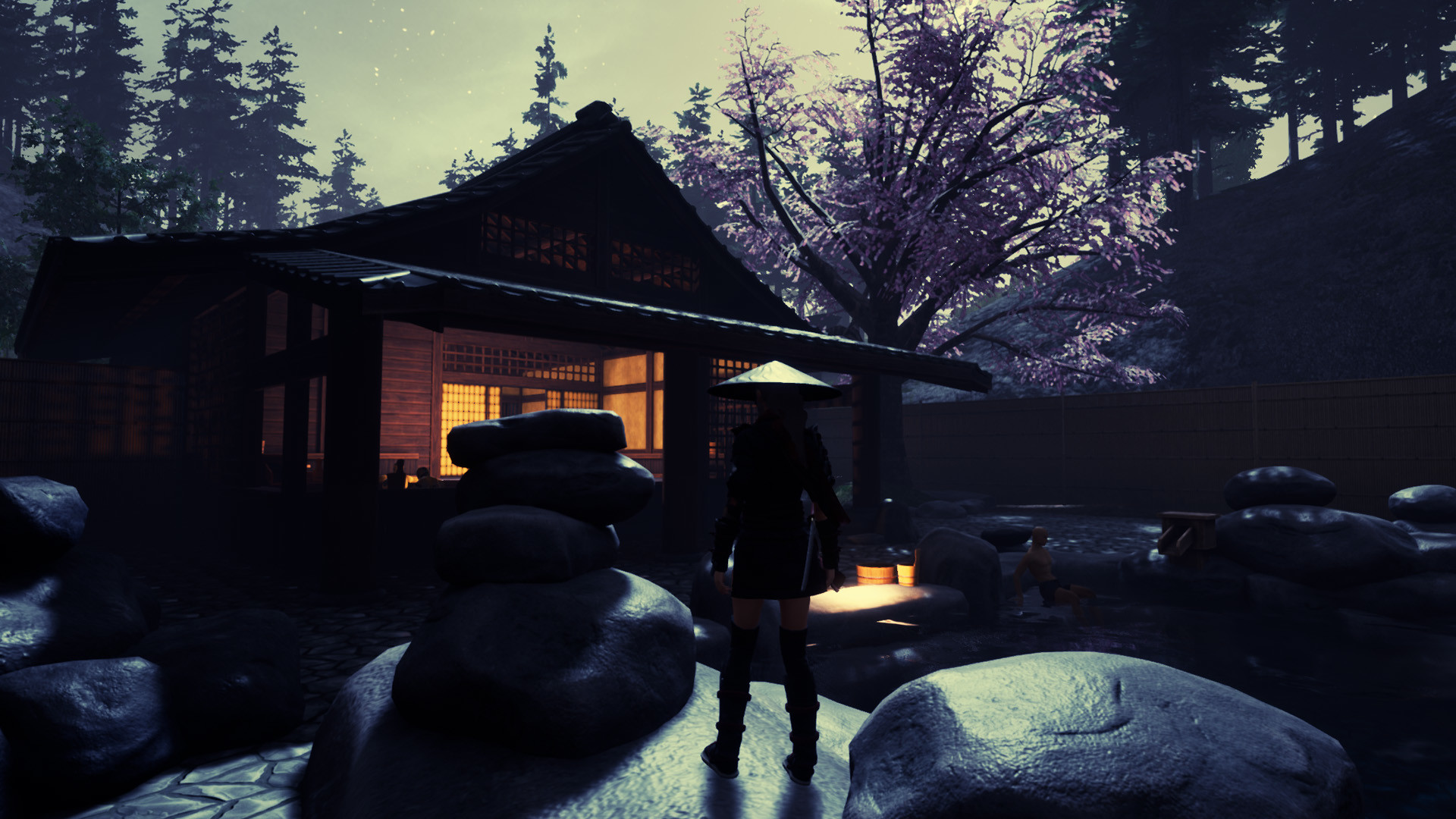 忍者传:三好家的陨落/Tale of Ninja: Fall of the Miyoshi_1