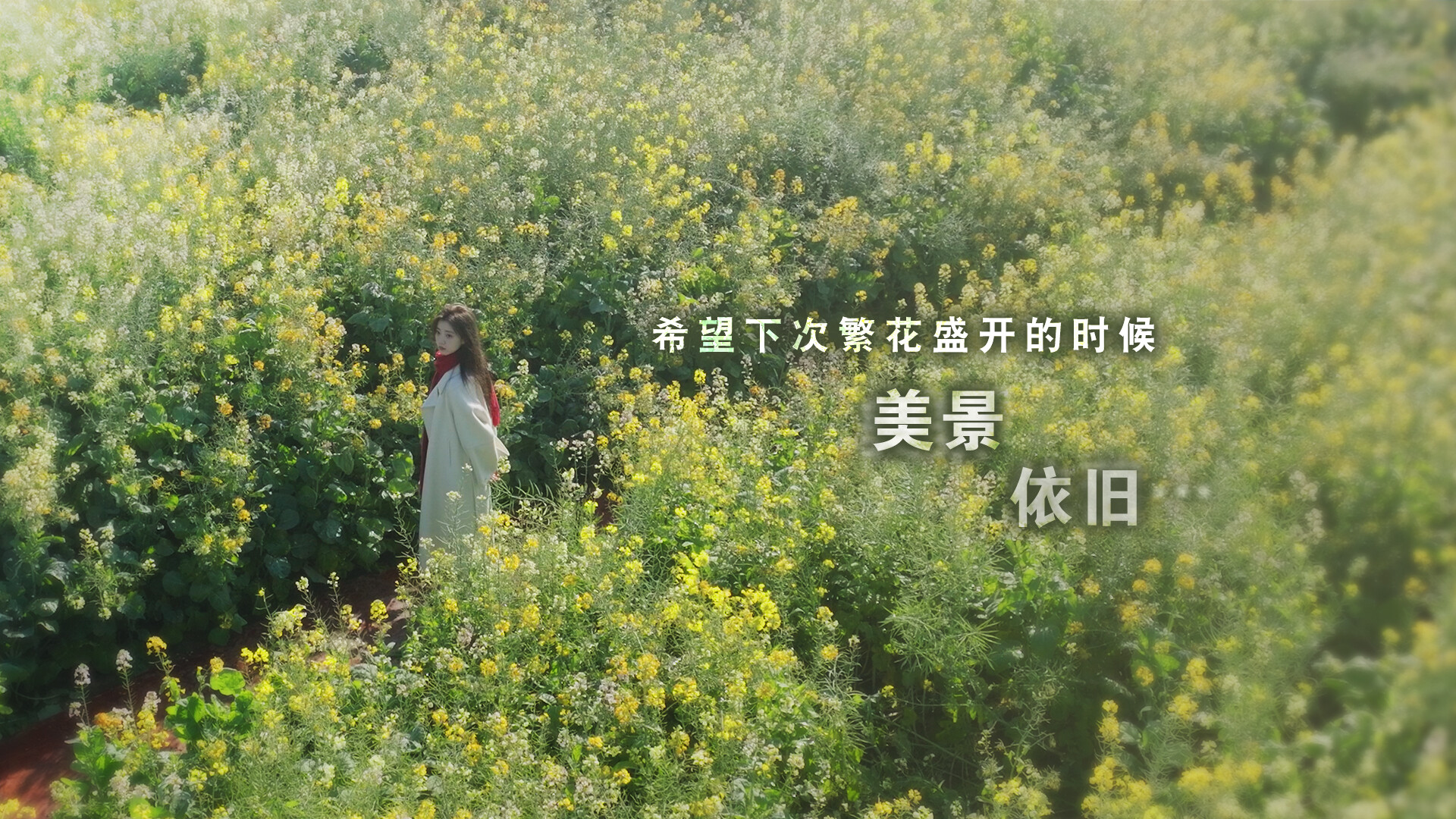 这个是真的喜欢!/I've Fallen For You!_3