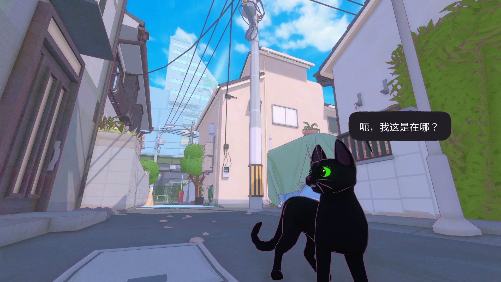 小猫咪大城市/Little Kitty, Big City_1