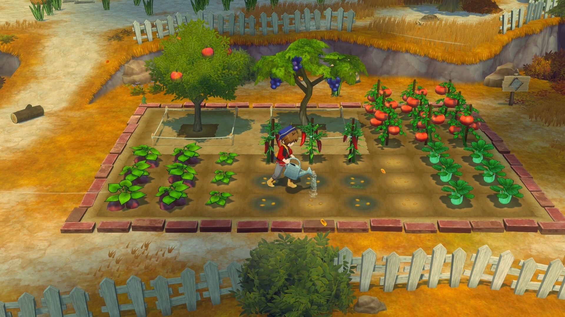 牧场物语 来吧!风之繁华集市/STORY OF SEASONS: Grand Bazaar_1