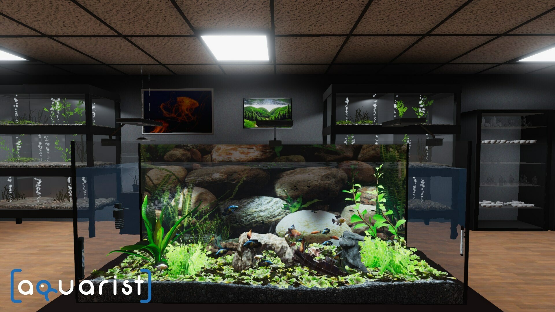Aquarist - 建造水族馆,养鱼,发展你的事业!_1