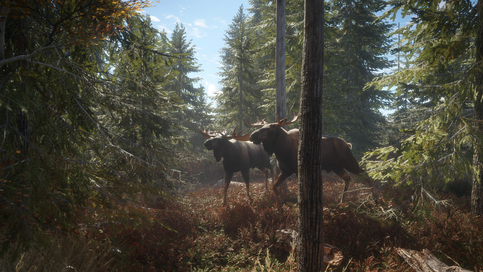 猎人:荒野的召唤/theHunter: Call of the Wild_1