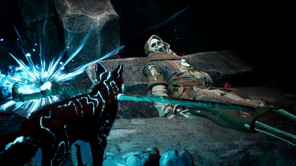 极北灵狐 Spirit of the North_1