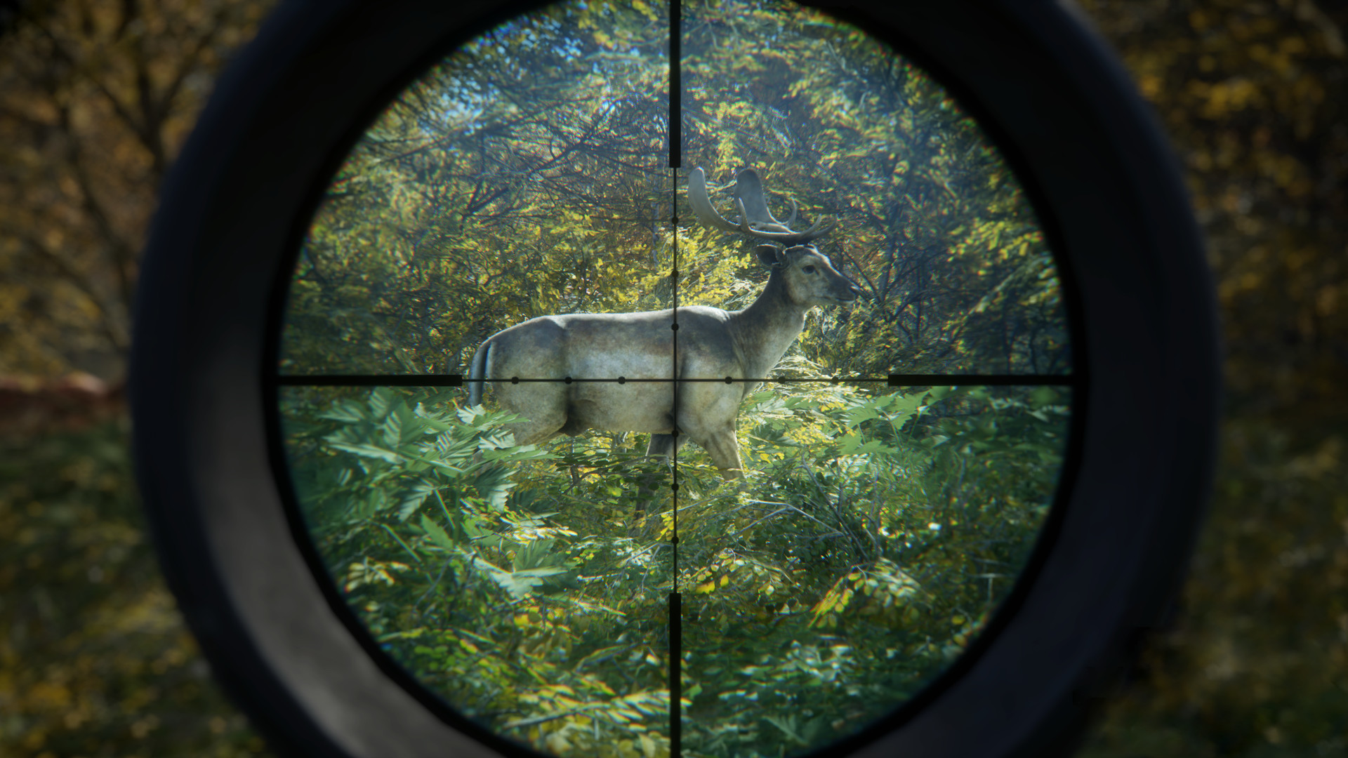 猎人:荒野的召唤/theHunter: Call of the Wild_0