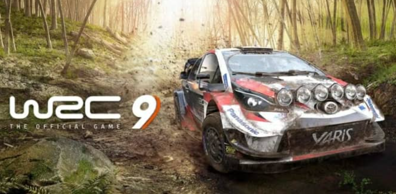 世界拉力锦标赛9 WRC 9 The Official Game_0