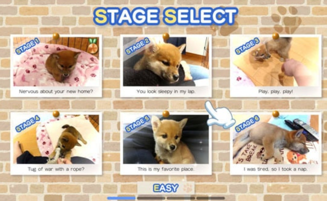 像素游戏制作大师:我爱一条柴犬 Pixel Game Maker Series Shiba Mekuri_0