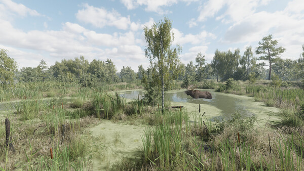 猎捕行动/On the Hunt_1