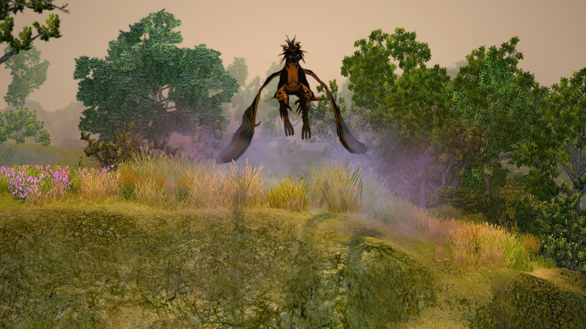 圣域2:重制版/Sacred 2 Remaster_3