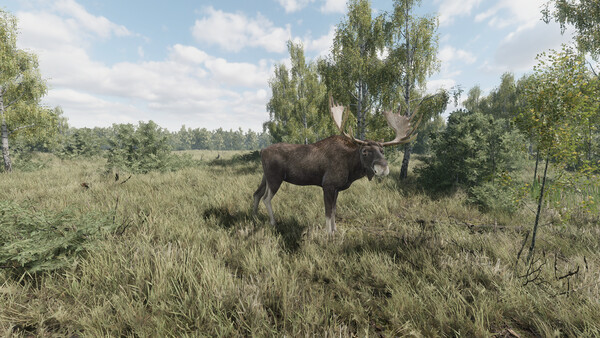 猎捕行动/On the Hunt_0