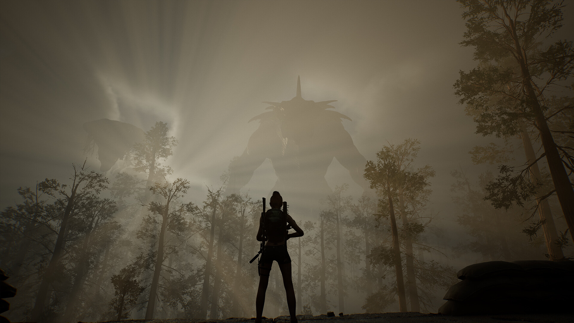 生命效应/LIFE EFFECT_1