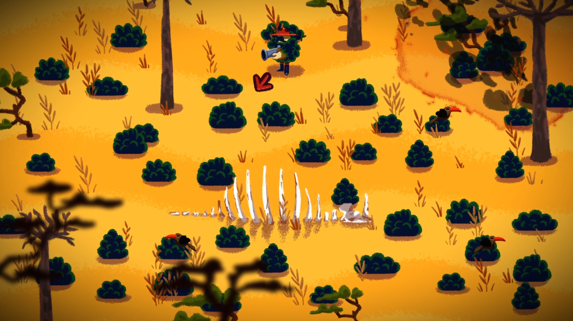 灌木丛 Buissons_1