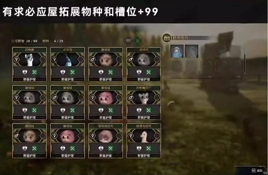 霍格沃茨之遗_3