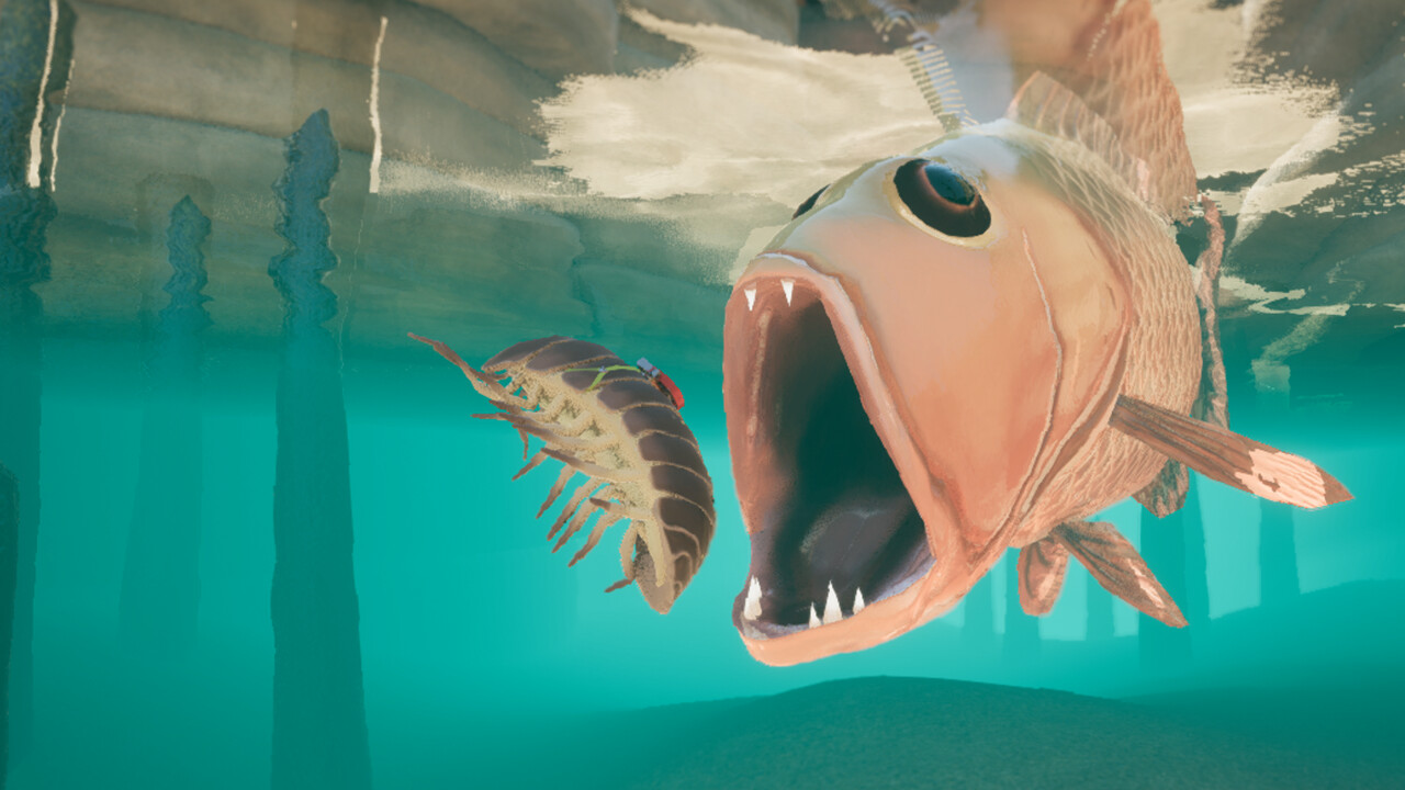 等足虫:网境外传/Isopod: A Webbed Spin-off_1