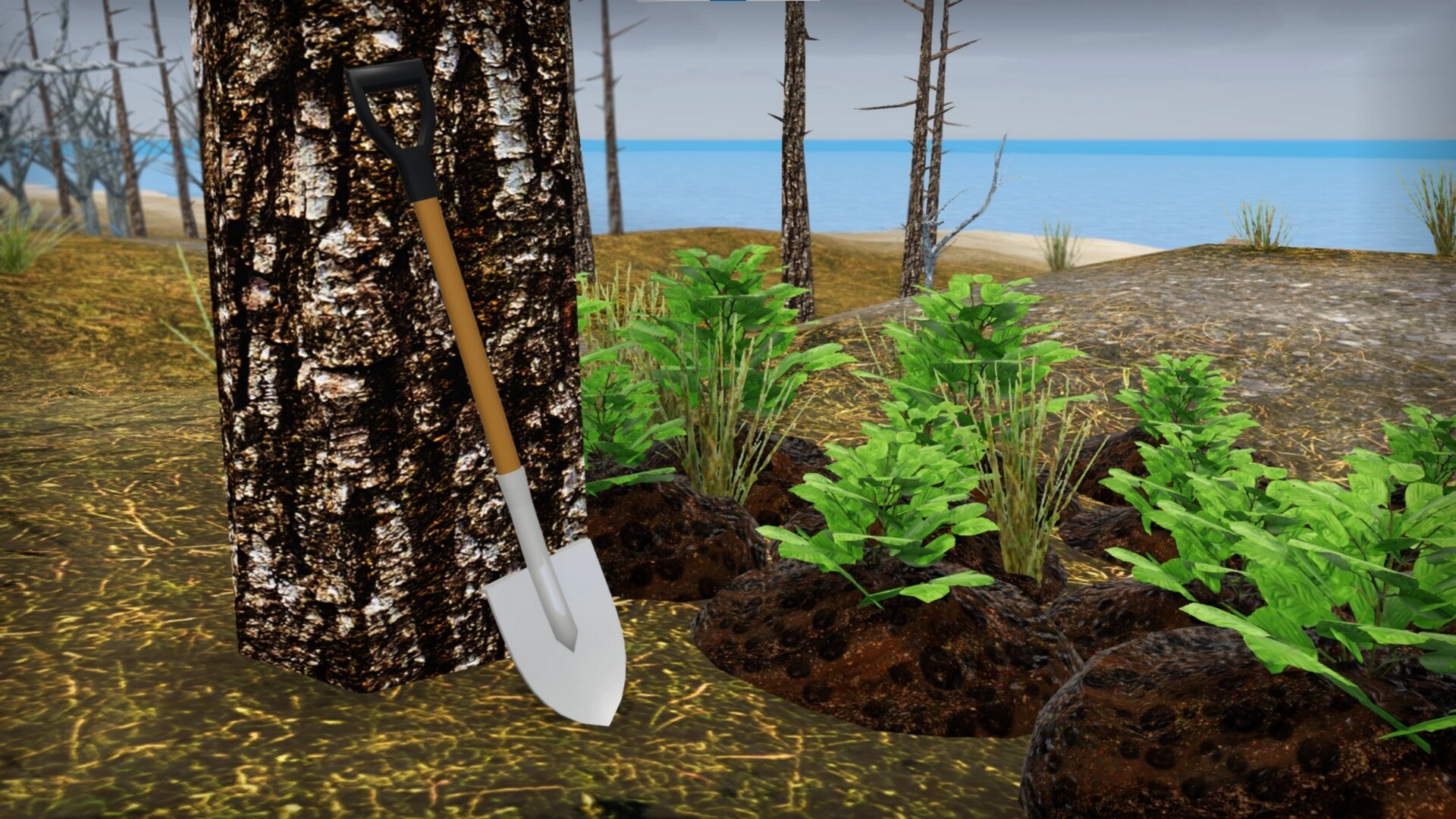 我的破车/Mon Bazou_1