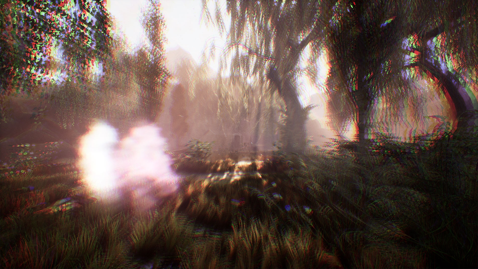 兰古纳的枯树 The Dead Tree of Ranchiuna_2