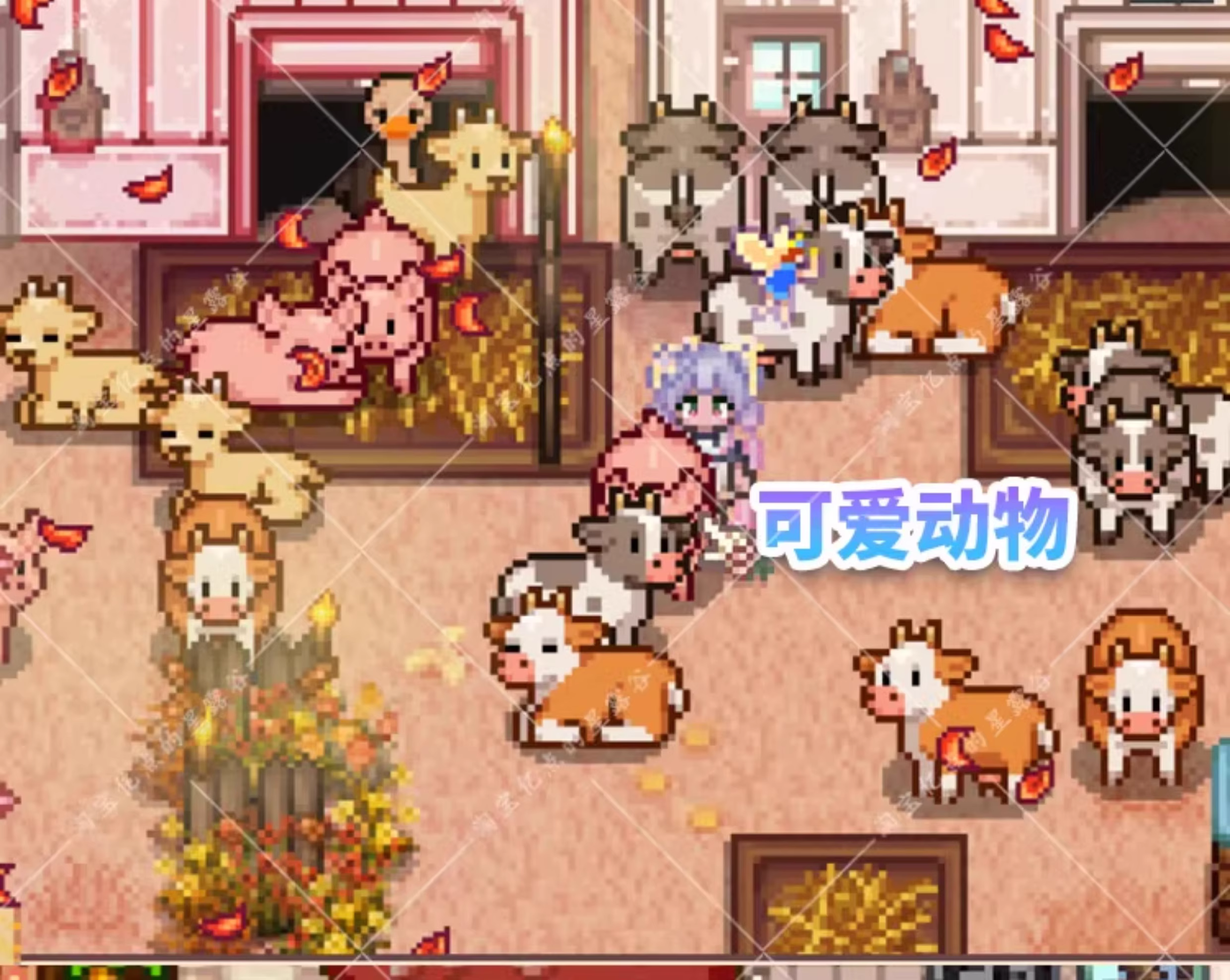 星露谷物语_19